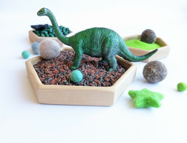 Little Ones: Learn and play sensory base bundles: dinosaur