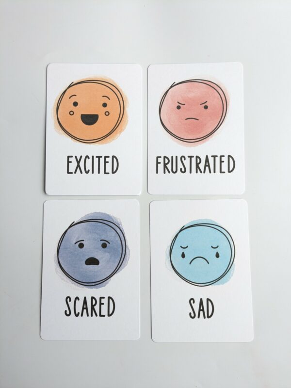 Little Ones: emotions flashcards