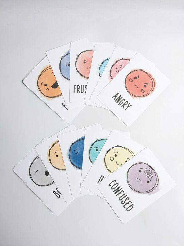 Little Ones: emotions flashcards